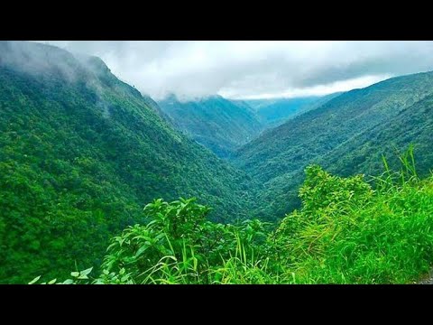 Walking alone in ASIA'S MOST DENSE FOREST, Hasan Valley. SCARY!! (MUST WATCH)(ENGLISH SUBTITLES)