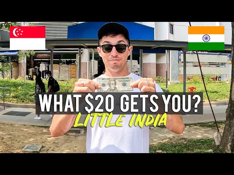 What $20 gets you in LITTLE INDIA  (Singapore) 