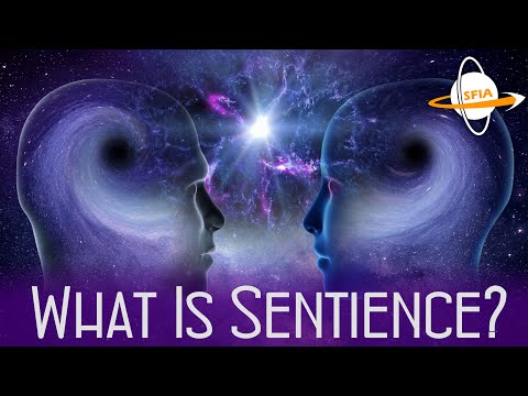 What is Sentience?