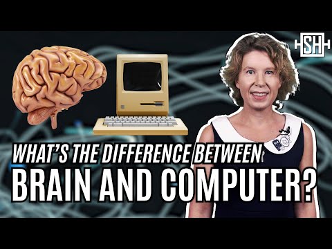 What's the difference between a brain and a computer?