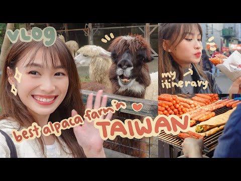 where to visit in Taipei?? - Take me to Taiwan ️ | SPEISHI
