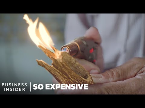 Why 4 Of The World’s Priciest Scents Are So Expensive | So Expensive | Business Insider