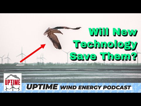 Will New Technology Keep Birds Even Safer From Wind Turbines?