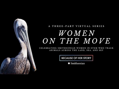 Women on the Move: Technology and Animal Tracking, Part II: Sky